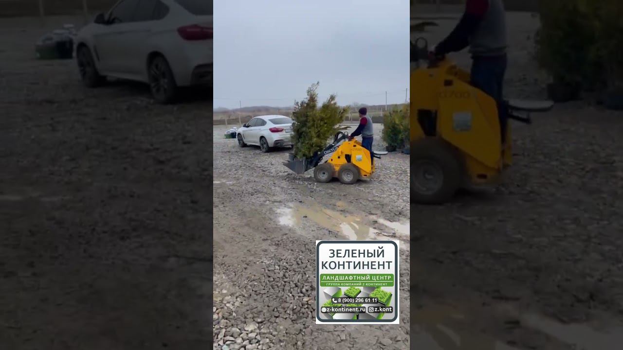 Отзыв на мини-погрузчик Диктум смотреть онлайн