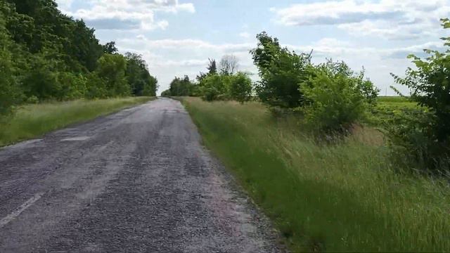 Дорога Бритай - Михайловка - Екатериновка 10.06.2023 смотреть онлайн