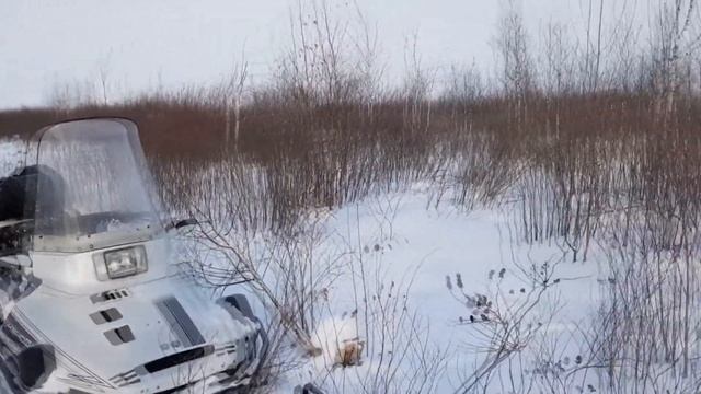 Бунгало Друга смотреть онлайн