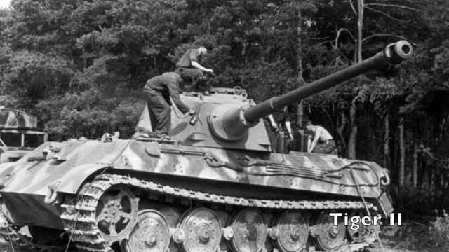 Germany's Last Gamble: The Battle of the Bulge смотреть онлайн