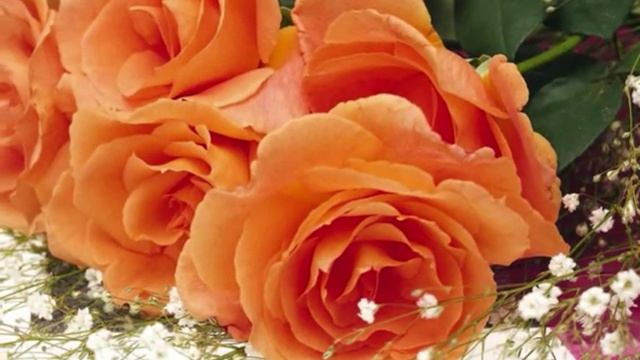 8 марта день чудесный! смотреть онлайн