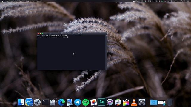 МЕНЯЮ ОБОЛОЧКУ ТЕРМИНАЛА BASH/ZSH В MACOS!!! смотреть онлайн