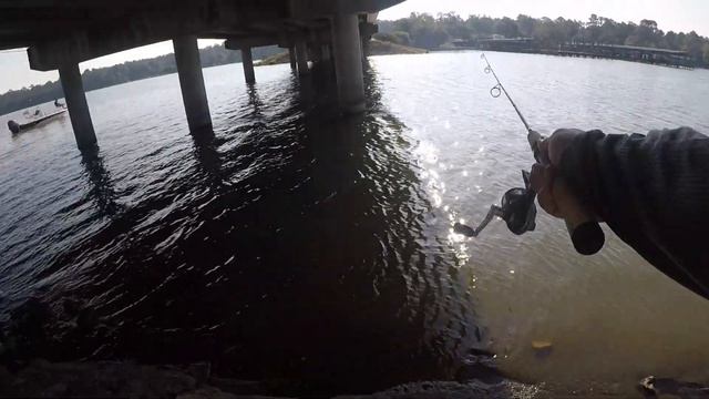 UNDER BRIDGE FISHING GULP ALIVE MINNOW & CRICKET смотреть онлайн
