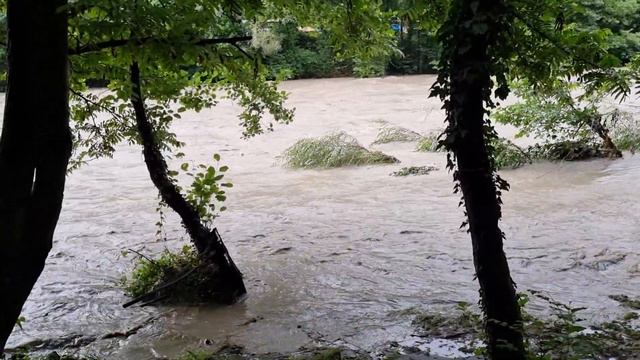 Потоп в Сочи смотреть онлайн