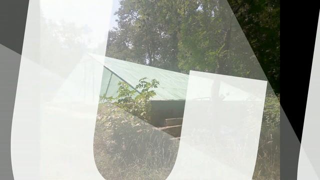 Приглашение на отдых в детский оздоровительный лагерь "СОКОЛ" смотреть онлайн