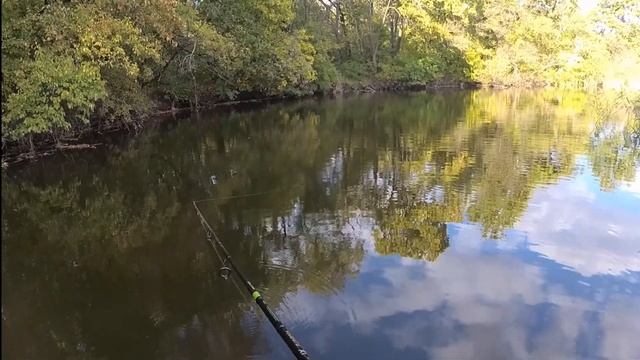 Щука на джеркбейт или крупный силикон осенью, обзор силикона от Patriot Baits смотреть онлайн