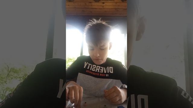 лепим Стива спрута аксолотля эндер-дракона смотреть онлайн