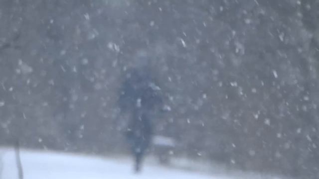 Первый снег, в нашем / Кормлю уток с руки.... смотреть онлайн