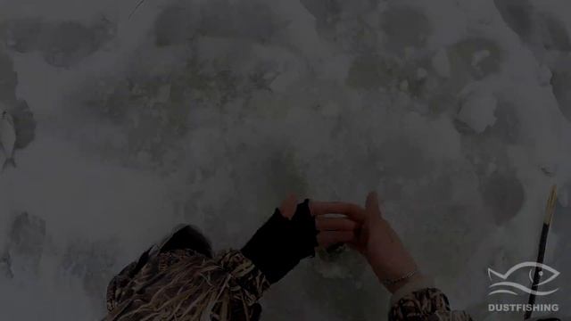 Лаврушка на мормышку )))