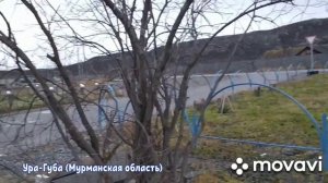 137. Ура-Губа (сельское поселение на Кольском полуострове)