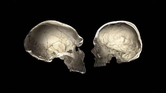 Why Did Modern Humans Take So Long to Leave Africa? смотреть онлайн