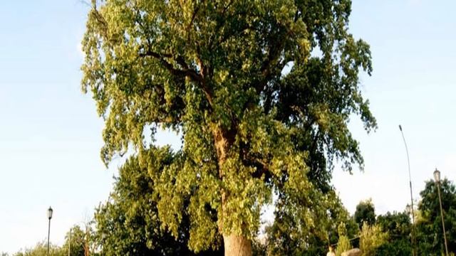 Дом отдыха Колос п Ларазевское г Сочи смотреть онлайн