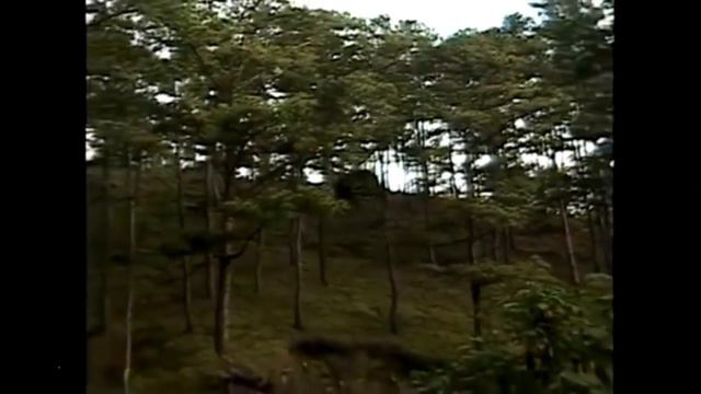 White Lady ng Loakan смотреть онлайн