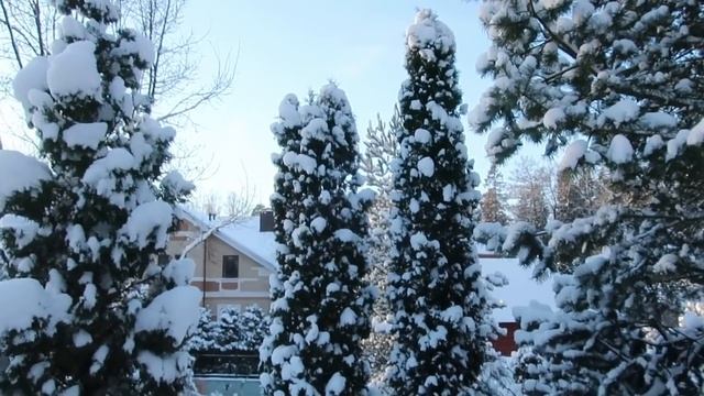 2021г-ДЕКАБРЬ- прогулка по зимнему саду-с комментариями смотреть онлайн