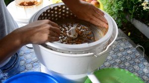 СОКОВЫЖИМАЛКА САЛЮТ СВПР 201 ПЕНЗМАШ.пробуем