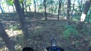 УСТАНОВКА\ТЕСТ на 172FMM (250) карбюратора PZ30 с ускорителем /Замер максималки...