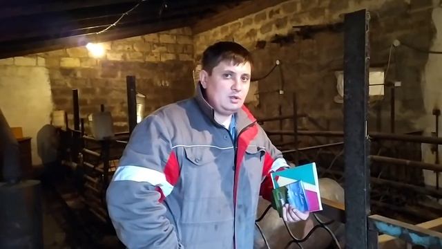 Какой Доход От 3 Свиней???,Всё Честно!!!!!! смотреть онлайн