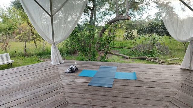 День 5 / Вечерняя йога для всех / Йога для всего тела смотреть онлайн