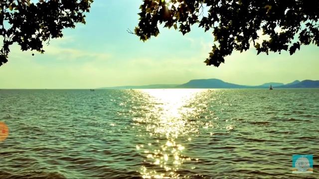 Аудио книга Как читать человека по лицу (Физиогномика). Четырехугольное. смотреть онлайн