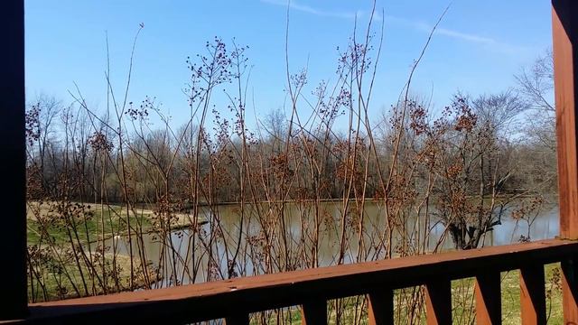 Aisha Tyler has to pay white husband $30,000 a month after their divorce смотреть онлайн