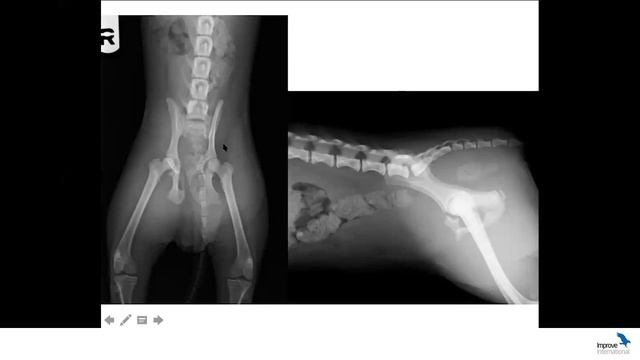 Casos clínicos de cirugía abdominal смотреть онлайн