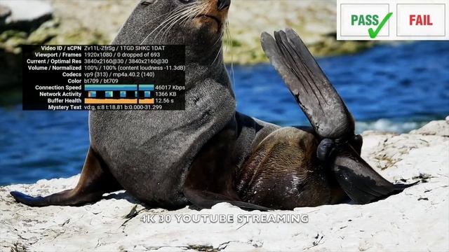 A95X MAX II - Full Android TV Box - S905X3 - HDD Expansion - Gigabit LAN - Any Good? смотреть онлайн