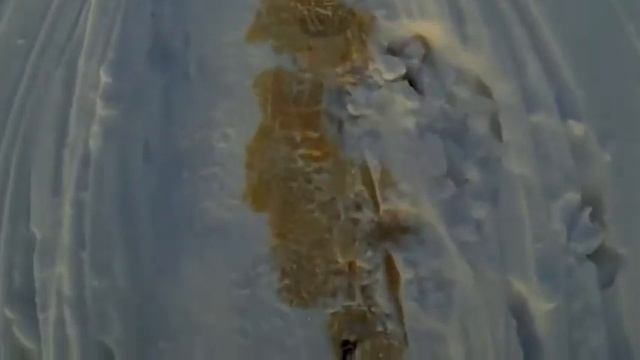 Что случилось на Волге Балаково 31 12 2018 смотреть онлайн