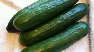 Какие огурцы можно выращивать на подоконнике, лоджии, балконе