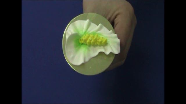 Декорирование сливками. Мастер-класс. Часть1 смотреть онлайн