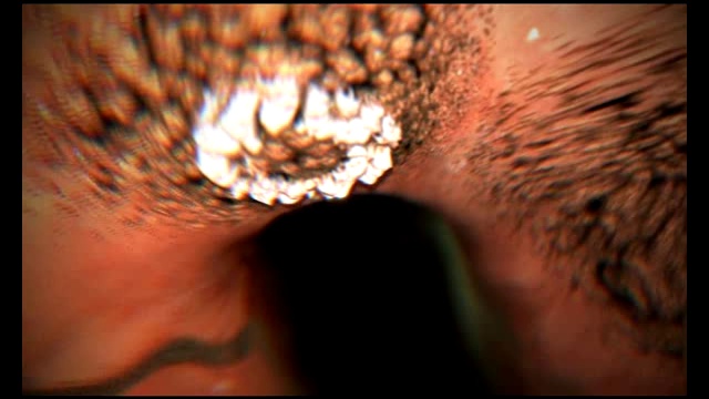 Rutube_account_234581