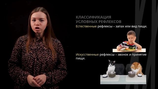 Условные рефлексы | Биология смотреть онлайн