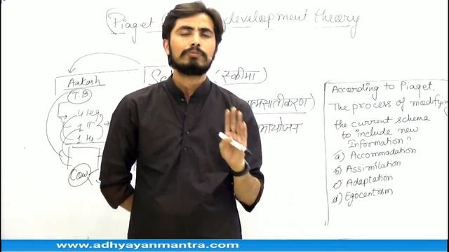 Piaget Theory Schema, Assimilation, Accommodation,Equilibration | CDP CTET 2019 смотреть онлайн