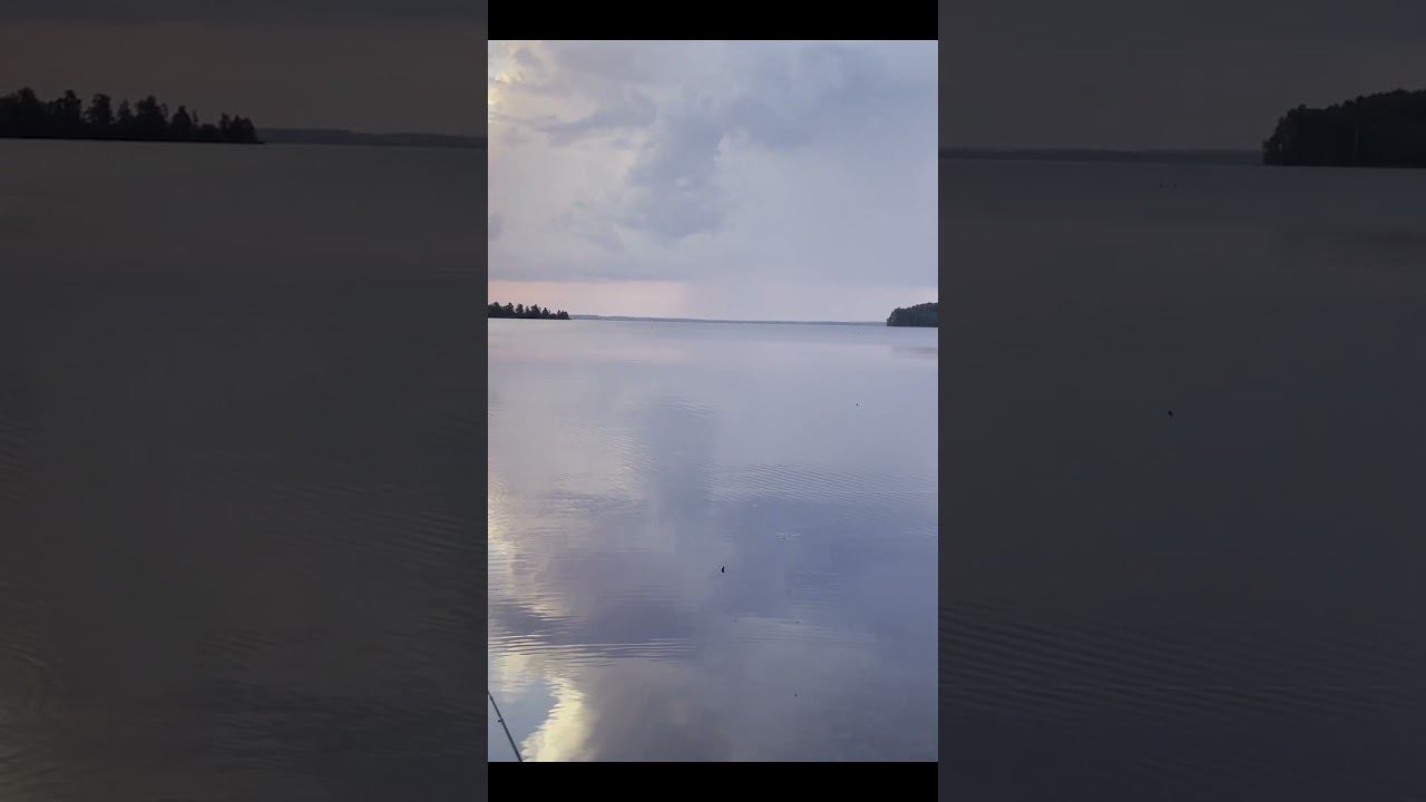 Утро на рыбалке #fishing #рыбалканасевере #carpfishing #carp #нарыбалку #палатка смотреть онлайн