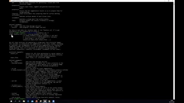 SimNIBS Tutorial I / Computational modeling in NIBS 2020 смотреть онлайн