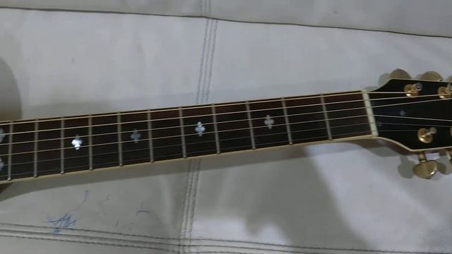 Washburn EA36