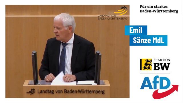 Die Regierung verheimlicht wie viel uns die EU kostet! – Wir haben mit etwa 150 Mrd. Euro zu rechne смотреть онлайн