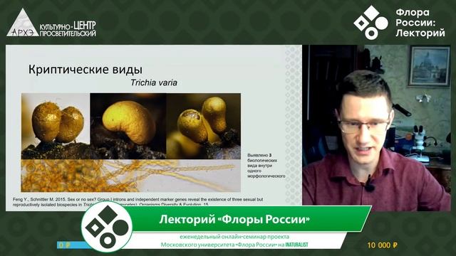 Как современные гербарии позволяют узнать больше о скрытом разнообразии миксомицетов? В.И.Гмошински смотреть онлайн