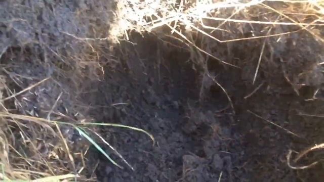 Неплохой бонус в конце копа!!! смотреть онлайн