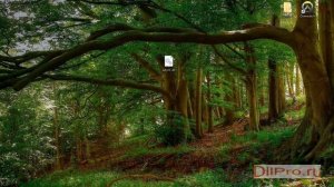 Скачиваем aeyrc.dll и устраняем ошибки