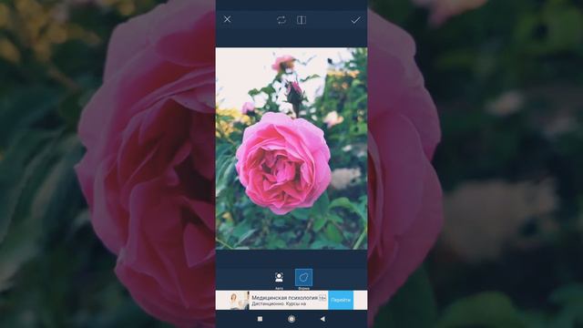 PicsArt. Подробные уроки. Функция ДВИЖЕНИЕ. смотреть онлайн