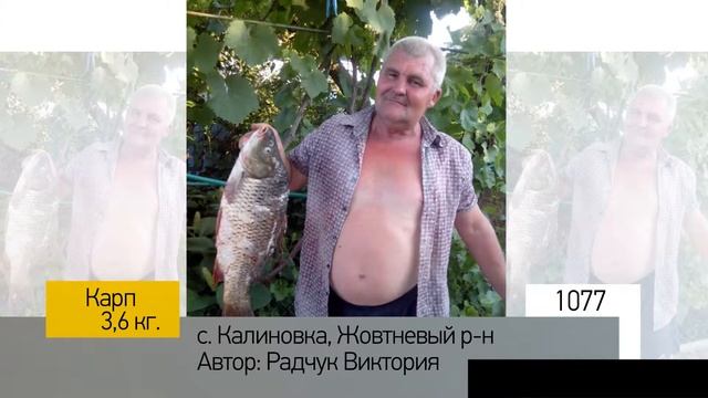 Фотоальбом - Рыбалка №215 смотреть онлайн