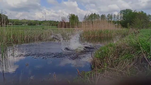 Для счастья многого не надо, моя прекрасная молодость :) смотреть онлайн
