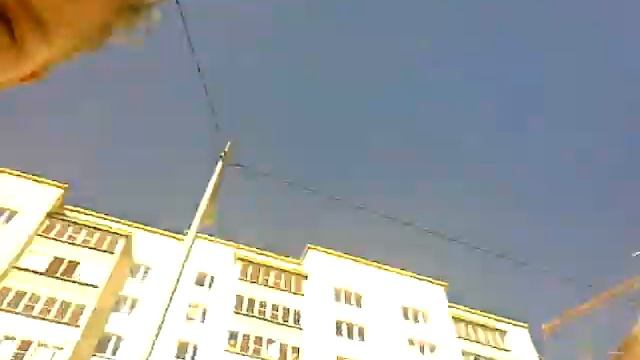 vlog прогулка с кошкой смотреть онлайн