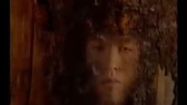 Танцы Минус - Дерево смотреть онлайн