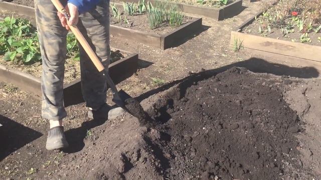 Лопата Дачник - помощник садовода! смотреть онлайн