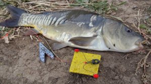 Ловля карпа на макушатник. Рыбалка на карпа. Как поймать карпа.mp4