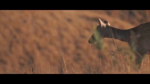 TOURISM OBJECT IN INDONESIA ( english task ). смотреть онлайн