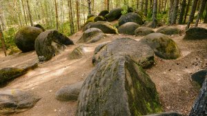 Вятский край (Кировская область) - Доледниковые валуны в Котельничском районе