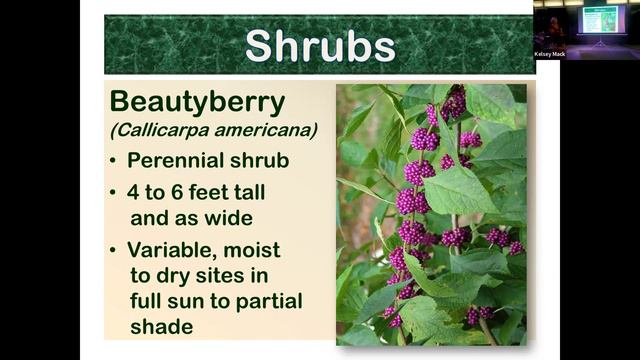 Enhancing Home Landscapes with Native Plants смотреть онлайн