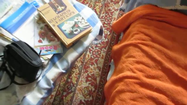 И подрались ....и помирились Рыжик с Орией!Израиль.Кирьят-Ям. смотреть онлайн